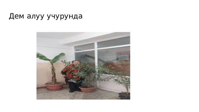 Дем алуу учурунда 