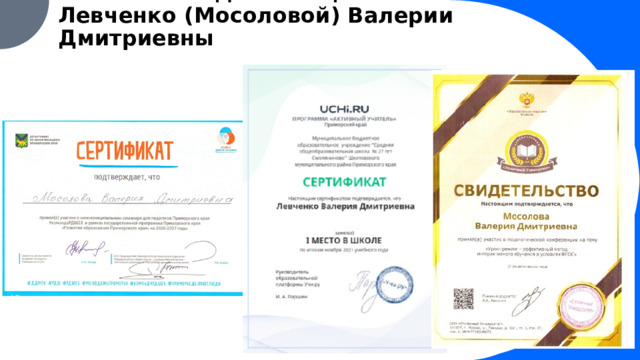 Успехи молодого специалиста  Левченко (Мосоловой) Валерии Дмитриевны 1 1 