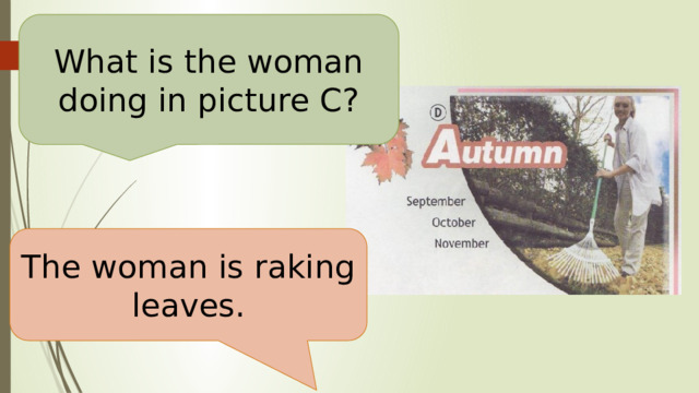 What is the woman doing in picture C? The woman is raking leaves. 