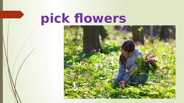 pick flowers 