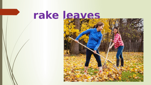 rake leaves 