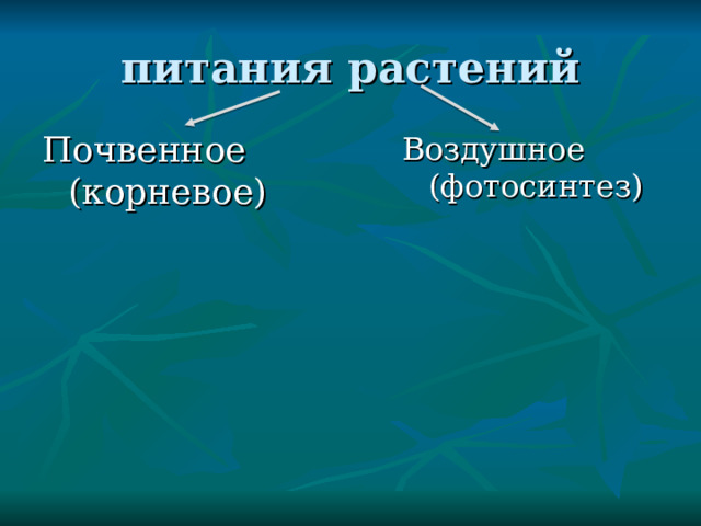 питания растений Почвенное (корневое) Воздушное (фотосинтез) 