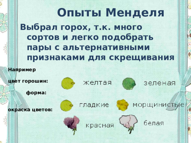 Опыты Менделя Выбрал горох, т.к. много сортов и легко подобрать пары с альтернативными признаками для скрещивания Например  цвет горошин:   форма:   окраска цветов: 