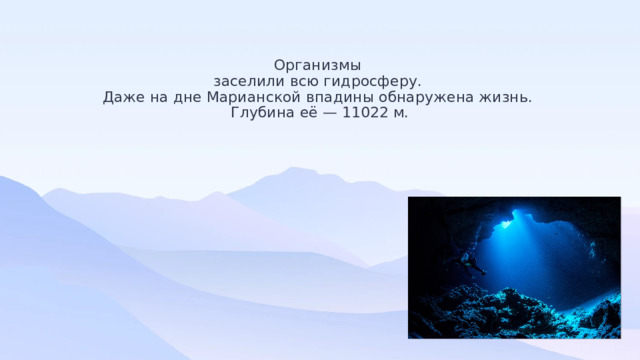 Организмы  заселили всю гидросферу.  Даже на дне Марианской впадины обнаружена жизнь.  Глубина её — 11022 м. 