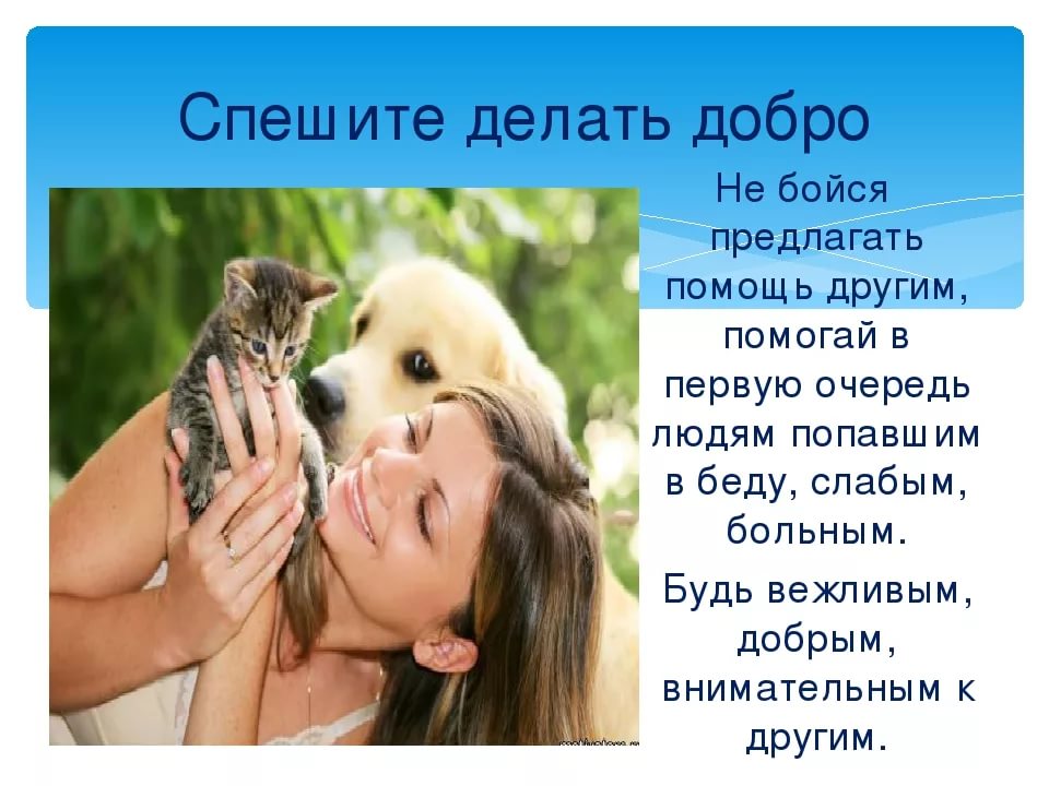 Проект по окружающему миру доброта и уважение