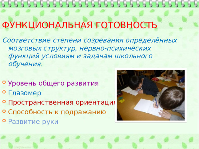 Функциональная готовность Соответствие степени созревания определённых мозговых структур, нервно-психических функций условиям и задачам школьного обучения. Уровень общего развития Глазомер Пространственная ориентация Способность к подражанию Развитие руки 