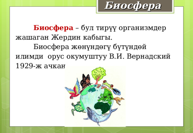 Биосфера  Биосфера – бул тирүү организмдер жашаган Жердин кабыгы.  Биосфера жөнүндөгү бүтүндөй илимди орус окумуштуу В.И. Вернадский 1929-ж ачкан.  