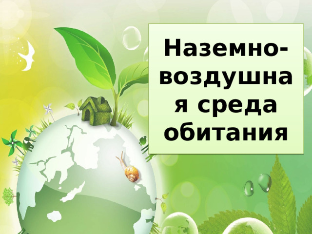 Кроссворд по наземно воздушной среде обитания