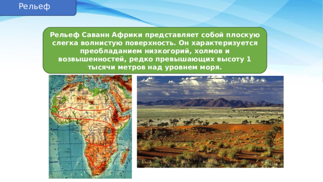 Рельеф Рельеф Саванн Африки представляет собой плоскую слегка волнистую поверхность. Он характе ризуется преобладанием низкогорий, холмов и возвышенностей, редко превышающих высоту 1 тысячи метров над уровнем моря. 