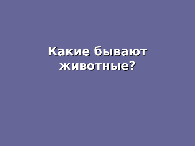 Какие бывают животные? 
