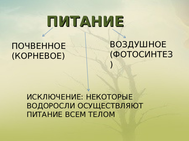 ПИТАНИЕ ВОЗДУШНОЕ (ФОТОСИНТЕЗ) ПОЧВЕННОЕ (КОРНЕВОЕ) ИСКЛЮЧЕНИЕ: НЕКОТОРЫЕ ВОДОРОСЛИ ОСУЩЕСТВЛЯЮТ ПИТАНИЕ ВСЕМ ТЕЛОМ 