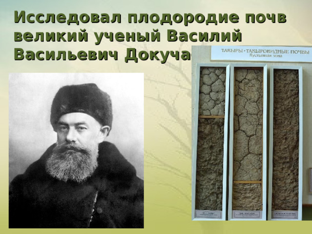 Исследовал плодородие почв великий ученый Василий Васильевич Докучаев        