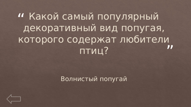 Какой самый популярный декоративный вид попугая, которого содержат любители птиц? Волнистый попугай 