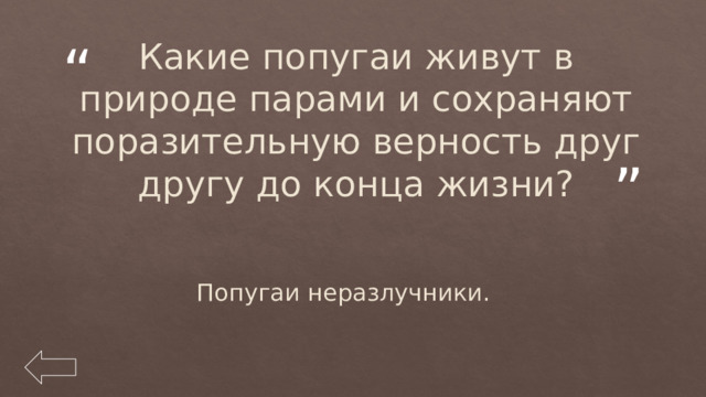 Какие попугаи живут в природе парами и сохраняют поразительную верность друг другу до конца жизни? Попугаи неразлучники. 