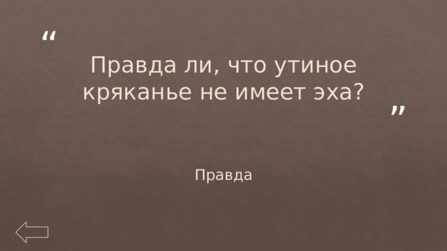 Правда ли, что утиное кряканье не имеет эха? Правда 