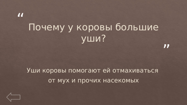 Почему у коровы большие уши? Уши коровы помогают ей отмахиваться от мух и прочих насекомых 