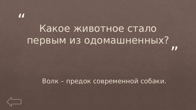 Какое животное стало первым из одомашненных? Волк – предок современной собаки. 
