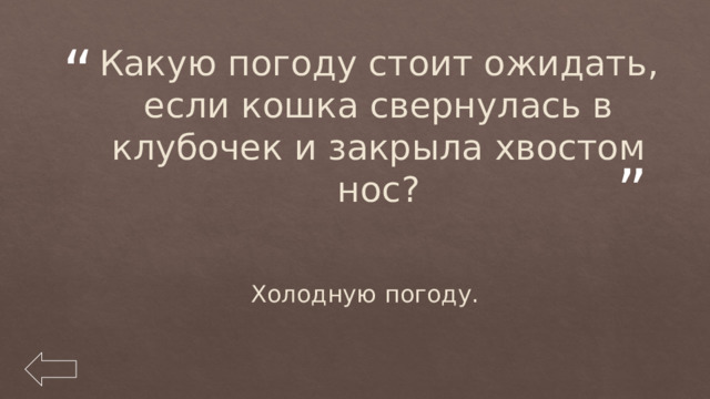 Какую погоду стоит ожидать, если кошка свернулась в клубочек и закрыла хвостом нос? Холодную погоду. 