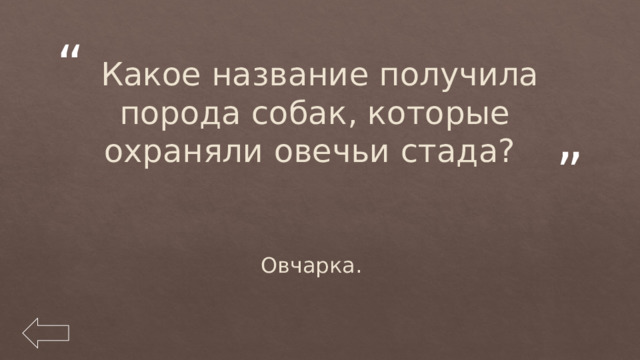   Какое название получила порода собак, которые охраняли овечьи стада?  Овчарка. 