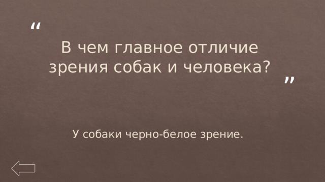 В чем главное отличие зрения собак и человека? У собаки черно-белое зрение. 