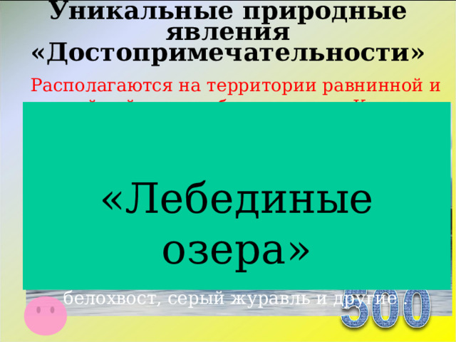 Уникальные природные явления «Достопримечательности»   Располагаются на территории равнинной и горной тайги правобережья реки Киренги, в районе озер Ближнее, Дальнее, Дургань. Является миграционной стоянкой лебедя-кликуна – такой феномен на территории России наблюдается только на территории Камчатки и на озере Ханка (Приморье). Фауна  территории достаточно богата и представлена редкими и исчезающими видами такими как черный аист, орлан-белохвост, серый журавль и другие . «Лебединые озера»  