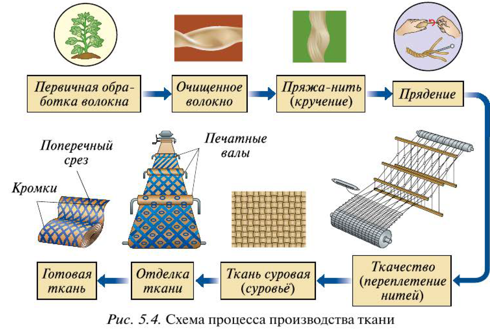 Технология изготовления ткани. Схема производства ткани. Схема процесса производства ткани. Что такое технология производства ткани. Для изготовления ткани используют