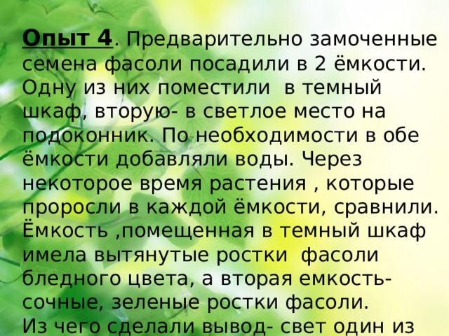 Опыт 4 . Предварительно замоченные семена фасоли посадили в 2 ёмкости. Одну из них поместили в темный шкаф, вторую- в светлое место на подоконник. По необходимости в обе ёмкости добавляли воды. Через некоторое время растения , которые проросли в каждой ёмкости, сравнили. Ёмкость ,помещенная в темный шкаф имела вытянутые ростки фасоли бледного цвета, а вторая емкость- сочные, зеленые ростки фасоли. Из чего сделали вывод- свет один из основных, факторов, влияющих на прорастание семян. 