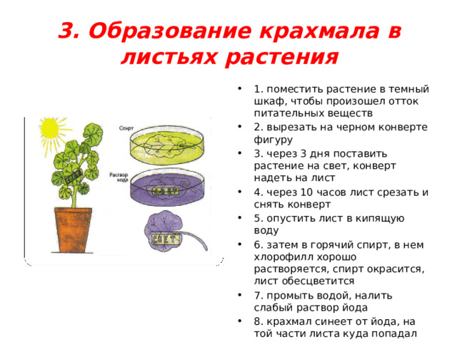 Какую задачу ставил валерий помещая растение и стакан с водным раствором йода в темный шкаф