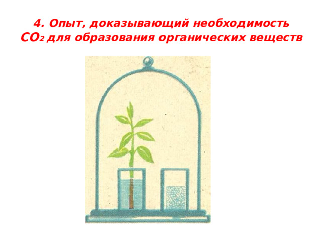 4. Опыт, доказывающий необходимость СО 2 для образования органических веществ 