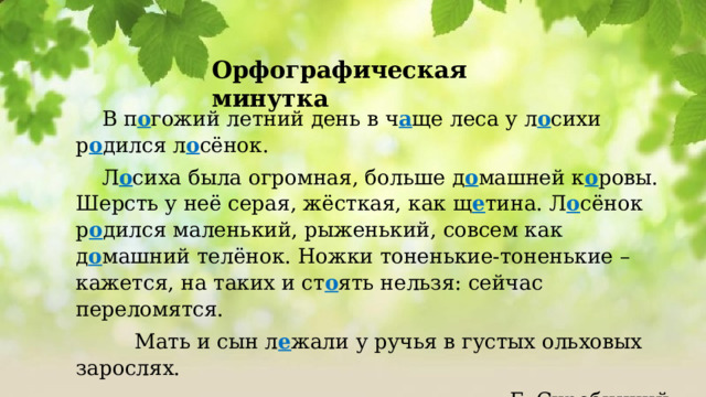 Орфографическая минутка В п о гожий летний день в ч а ще леса у л о сихи р о дился л о сёнок. Л о сиха была огромная, больше д о машней к о ровы. Шерсть у неё серая, жёсткая, как щ е тина. Л о сёнок р о дился маленький, рыженький, совсем как д о машний телёнок. Ножки тоненькие-тоненькие – кажется, на таких и ст о ять нельзя: сейчас переломятся.  Мать и сын л е жали у ручья в густых ольховых зарослях. Г. Скребицкий 