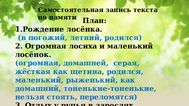 Самостоятельная запись текста по памяти  План: Рождение лосёнка.  (в погожий, летний, родился) 2. Огромная лосиха и маленький лосёнок. (огромная, домашней, серая, жёсткая как щетина, родился, маленький, рыженький, как домашний, тоненькие-тоненькие, нельзя стоять, переломятся) 3. Отдых у ручья в зарослях. (густых, ольховых) 