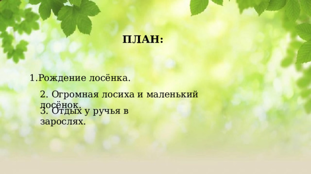 ПЛАН: Рождение лосёнка. 2. Огромная лосиха и маленький лосёнок. 3. Отдых у ручья в зарослях. 