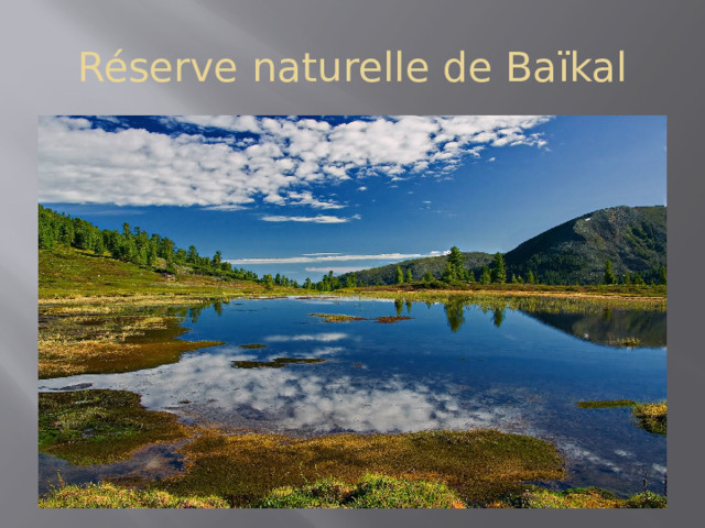 Réserve naturelle de Baïkal 