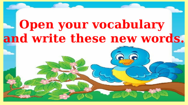 Open your vocabulary and write these new words. 