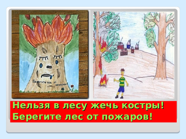 Нельзя в лесу жечь костры! Берегите лес от пожаров! 