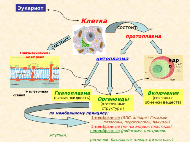 Мембранная стенка