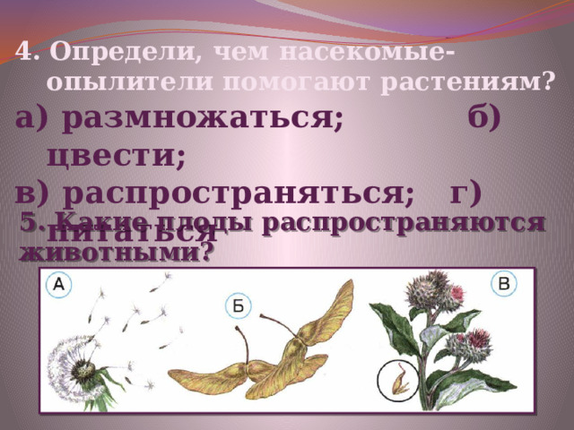 4. Определи, чем насекомые-опылители помогают растениям? а) размножаться; б) цвести; в) распространяться; г) питаться 5. Какие плоды распространяются животными? 