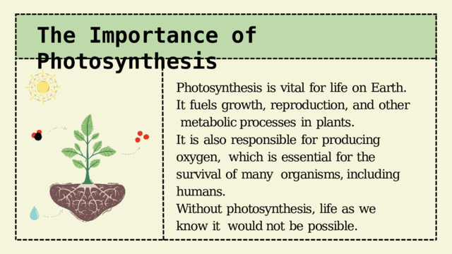 The  Importance  of Photosynthesis Photosynthesis  is  vital  for  life  on  Earth.  It  fuels  growth,  reproduction,  and  other  metabolic processes  in  plants. It  is  also  responsible  for  producing  oxygen,  which  is  essential  for  the  survival  of  many  organisms, including  humans. Without  photosynthesis,  life  as  we  know  it  would not  be  possible. 