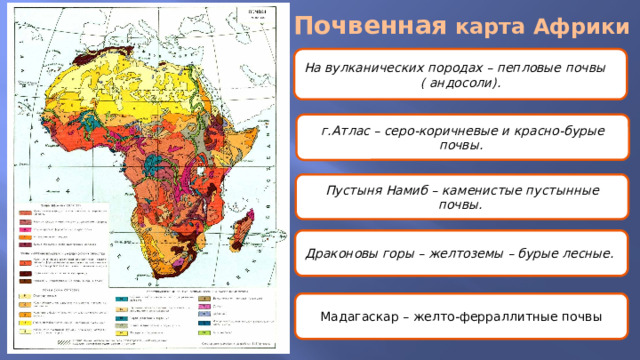 Почвенная карта Африки На вулканических породах – пепловые почвы ( андосоли). г.Атлас – серо-коричневые и красно-бурые почвы. Пустыня Намиб – каменистые пустынные почвы. Драконовы горы – желтоземы – бурые лесные. Мадагаскар – желто-ферраллитные почвы 