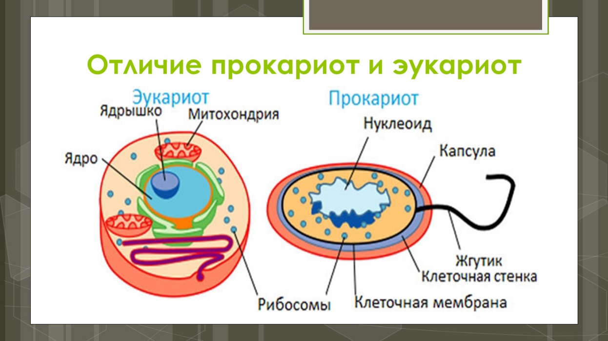 Методическая разработка 