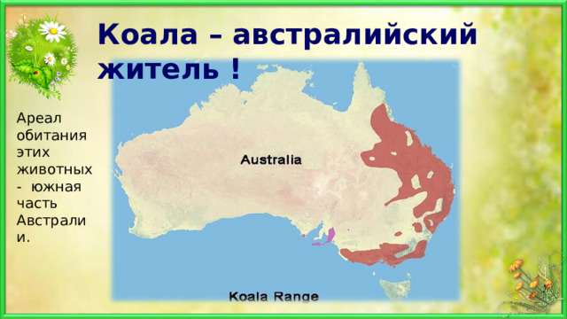 Коала – австралийский житель ! Ареал обитания этих животных - южная часть Австралии. 