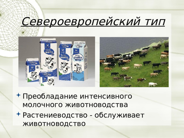 Североевропейский  тип  Преобладание  интенсивного  молочного  животноводства Растениеводство - обслуживает  животноводство  