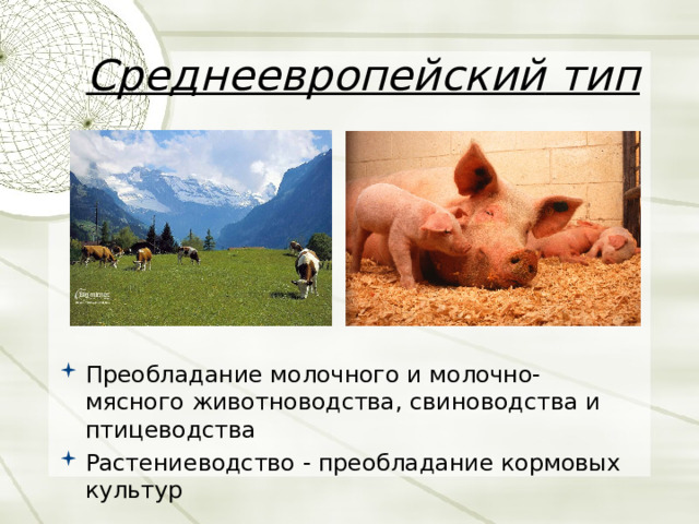 Среднеевропейский  тип Преобладание  молочного  и  молочно - мясного  животноводства , свиноводства  и  птицеводства Растениеводство - преобладание  кормовых  культур  