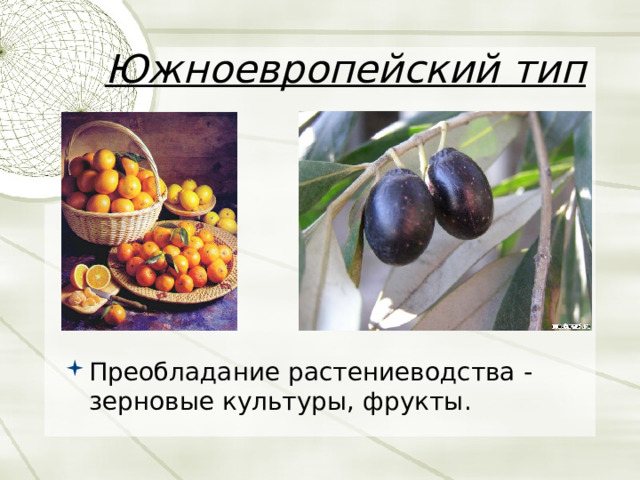 Южноевропейский  тип Преобладание  растениеводства - зерновые  культуры , фрукты .  