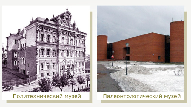 Палеонтологический музей Политехнический музей 