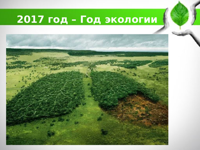 2017 год – Год экологии 