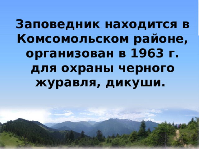   Заповедник находится в Комсомольском районе, организован в 1963 г. для охраны черного журавля, дикуши. 