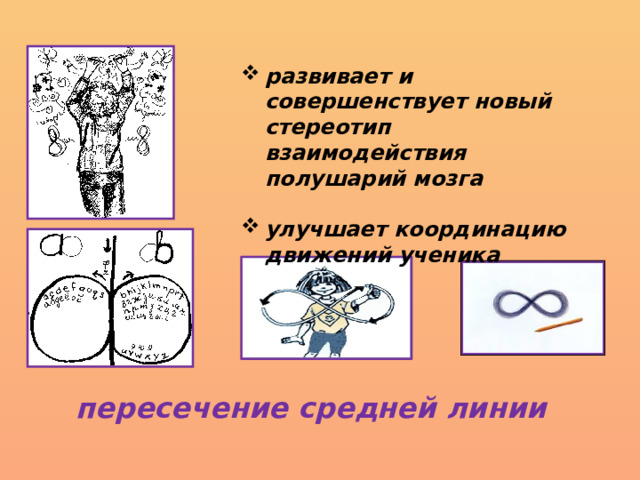 развивает и совершенствует новый стереотип взаимодействия полушарий мозга  улучшает координацию движений ученика пересечение средней линии 