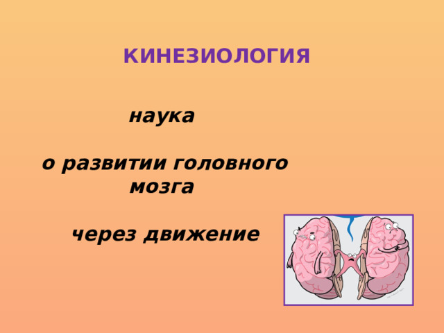 КИНЕЗИОЛОГИЯ наука  о развитии головного мозга  через движение 