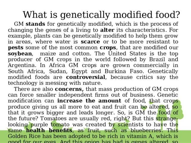 What is genetically modified food?   GM stands for genetically modified, which is the process of changing the genes of a living to alter its characteristics. For example, plants can be genetically modified to help them grow in areas, where water is scarce or to be more resistant to pests some of the most common crops , that are modified our soybean , maize and cotton. The United States is the top producer of GM crops in the world followed by Brazil and Argentina. In Africa GM crops are grown commercially in South Africa, Sudan, Egypt and Burkina Faso. Genetically modified foods are controversial , because critics say the technology is messing with nature. There are also concerns, that mass production of GM crops can force smaller independent firms out of business. Genetic modification can increase the amount of food, that crops produce giving us all more to eat and fruit can be altered, so that it grows bigger and leads longer. So, is GM the food of the future? Tomatoes are usually red, right? But this strange-looking purple tomato was created by scientists to have the same health benefits , as fruit, such as blueberries. This Golden Rice has been adopted to be rich in vitamin A, which is good for our eyes. And this onion has had is genes altered, so it doesn`t make you cry.    